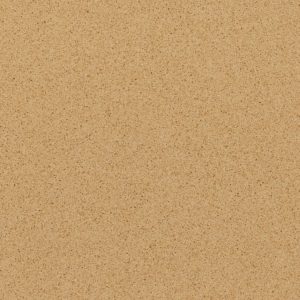 Cambrian Gold