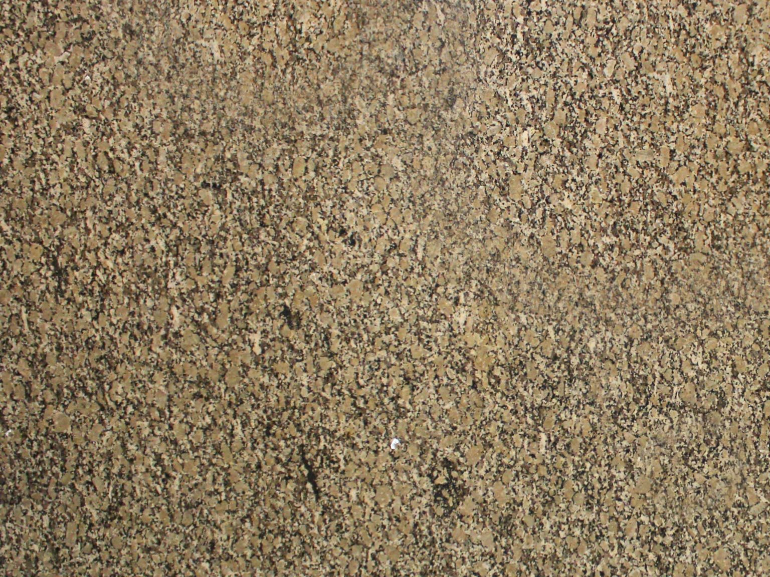 AUTUMN BEIGE GRANITE - New View