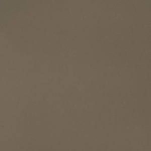 FOSSIL BROWN