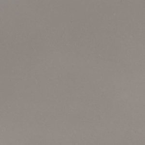 FOSSIL GRAY