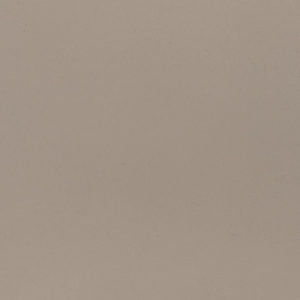 FOSSIL TAUPE